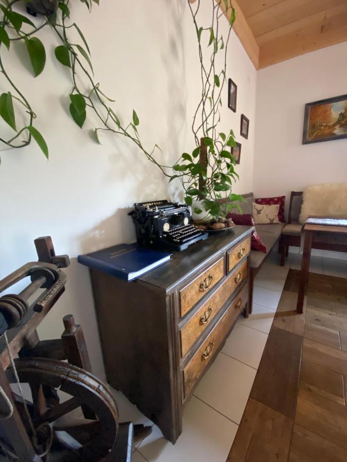 Agroturystyka Sarni Stok Krynica Zdroj Dış mekan fotoğraf