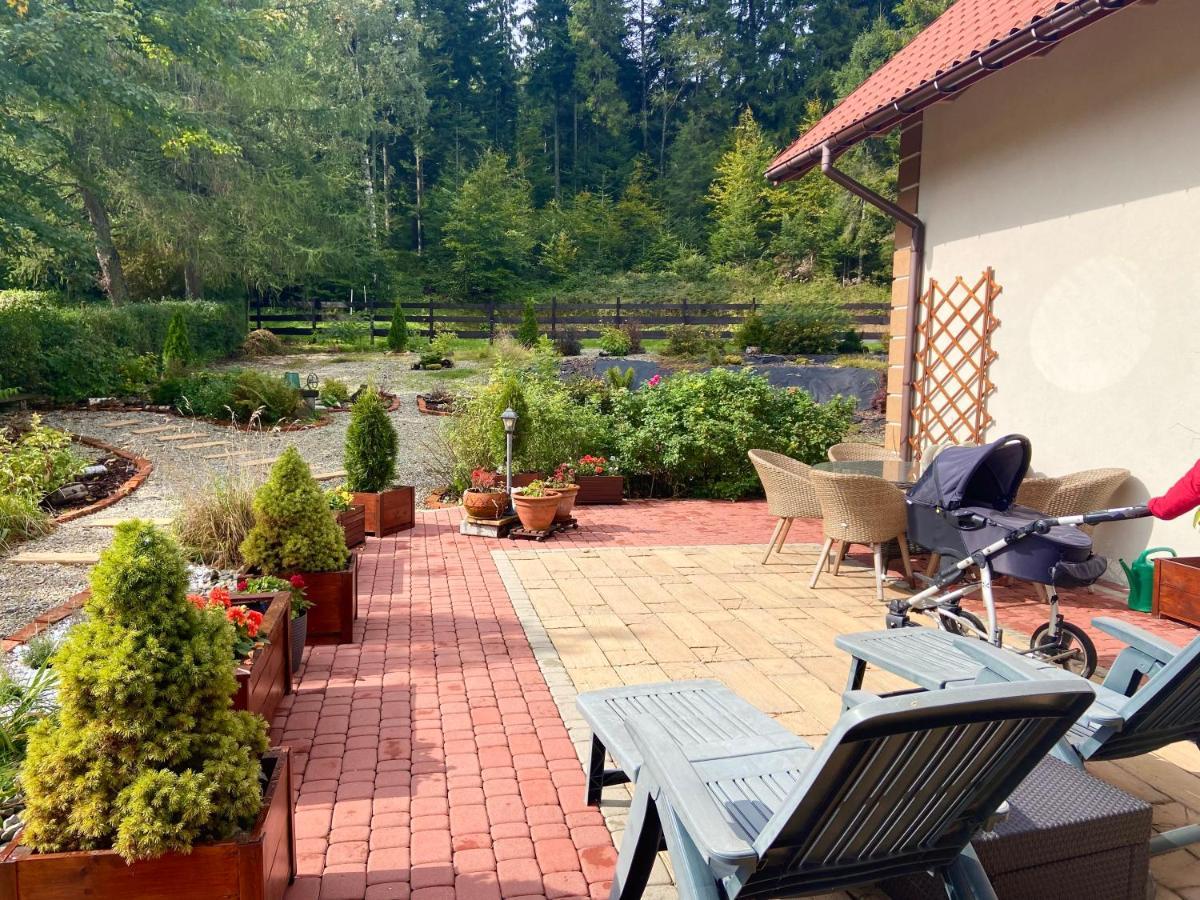 Agroturystyka Sarni Stok Krynica Zdroj Dış mekan fotoğraf