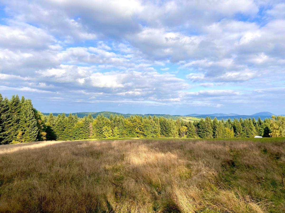 Agroturystyka Sarni Stok Krynica Zdroj Dış mekan fotoğraf