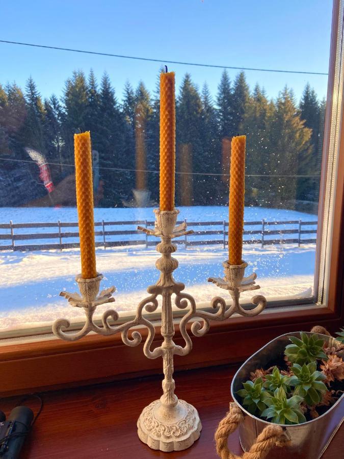 Agroturystyka Sarni Stok Krynica Zdroj Dış mekan fotoğraf
