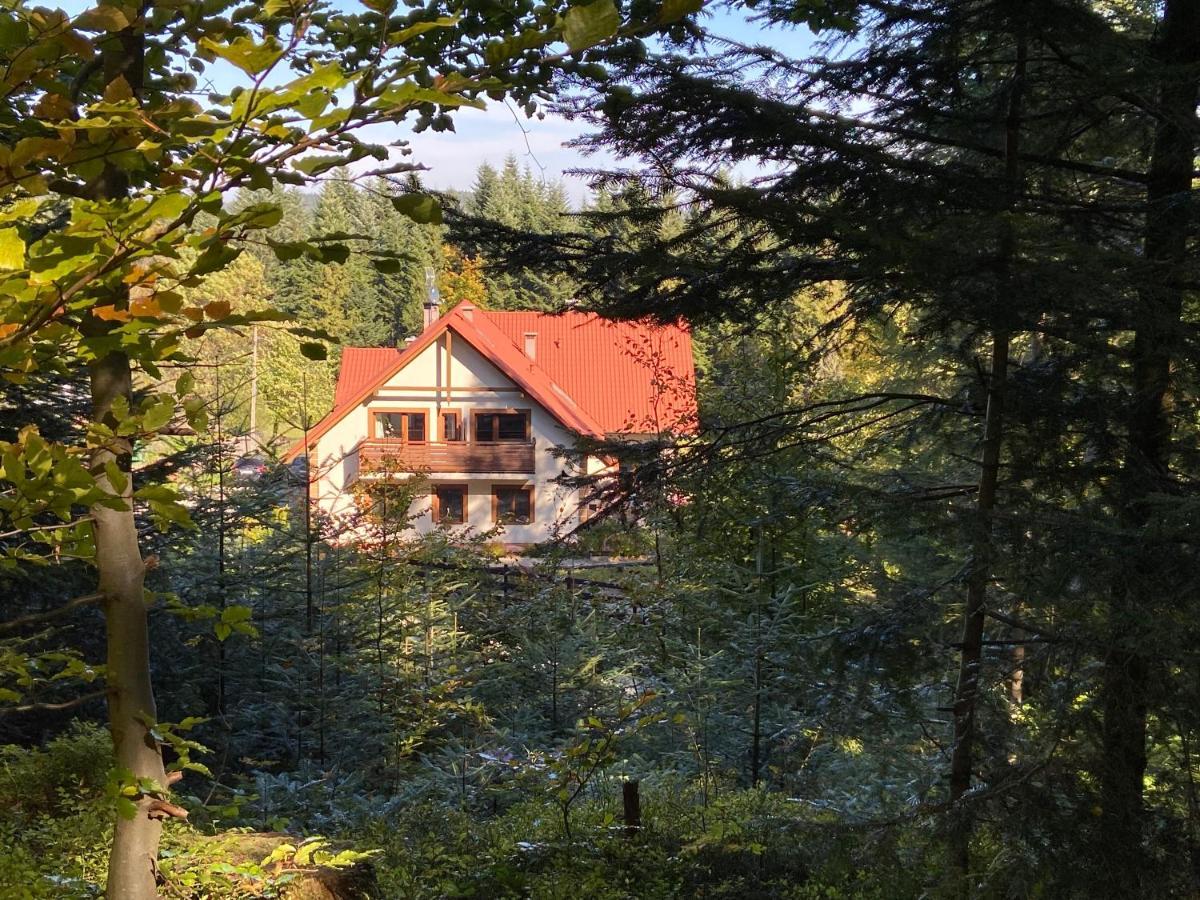 Agroturystyka Sarni Stok Krynica Zdroj Dış mekan fotoğraf