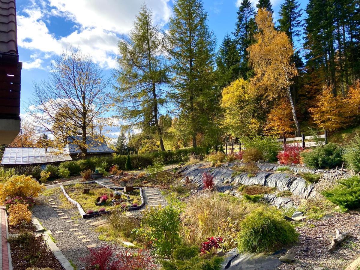 Agroturystyka Sarni Stok Krynica Zdroj Dış mekan fotoğraf